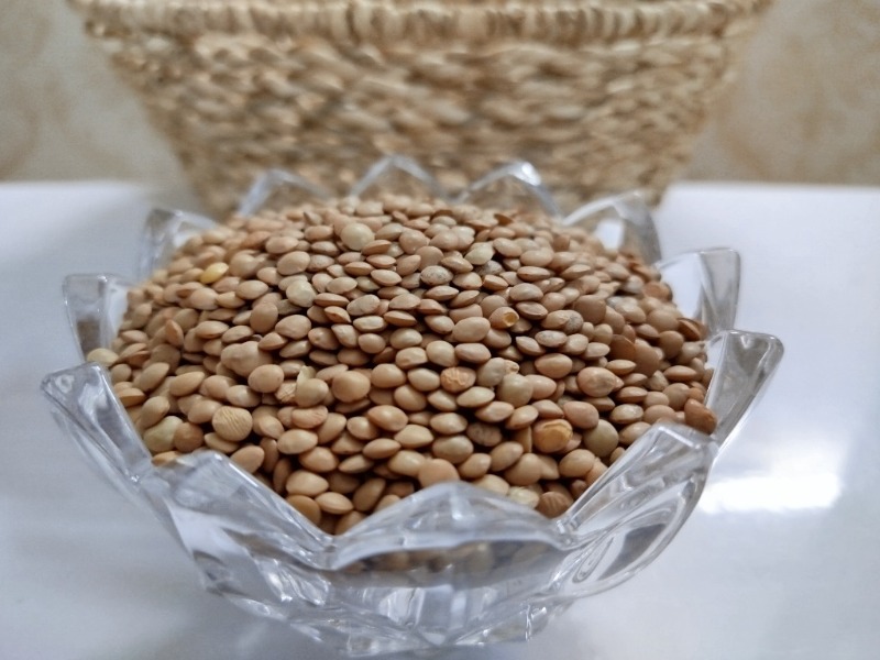 دریافت عدس ریز قزاق 700 گرم