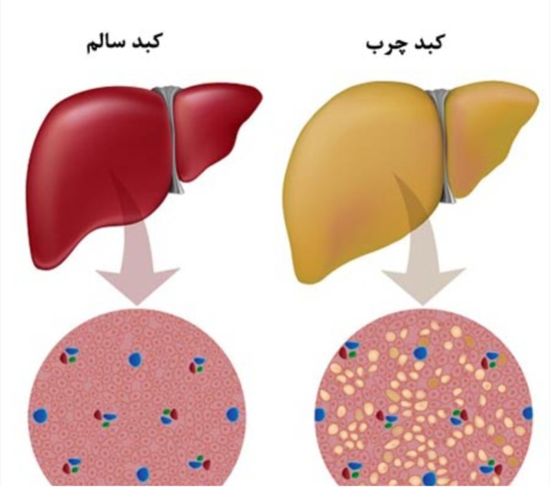 دریافت سوال 6