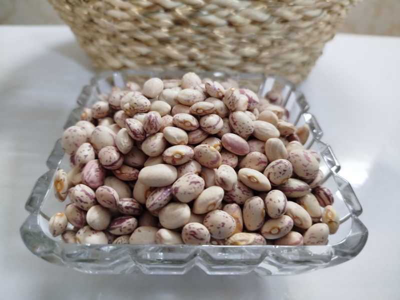 دریافت لوبیا چیتی بوجاری چیتی