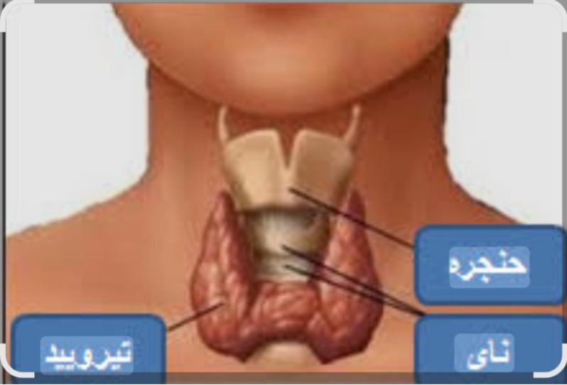 دریافت سوال 3
