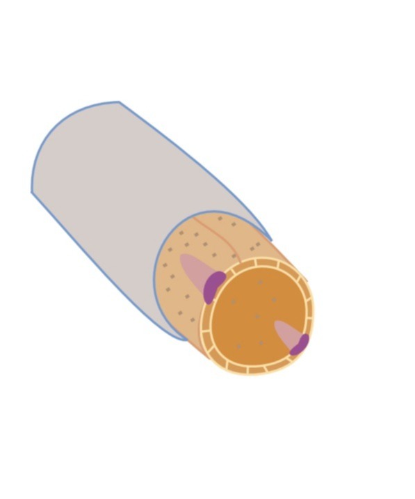 دریافت سوال 9