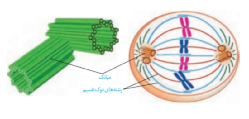 دریافت سوال 76