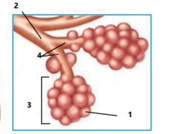 دریافت سوال 2