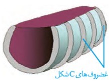 دریافت سوال 8