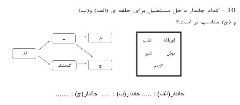 دریافت سوال 10