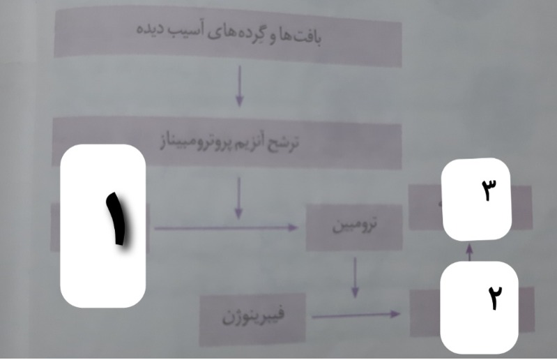 دریافت سوال 9