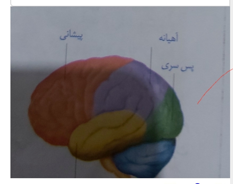 دریافت سوال 4