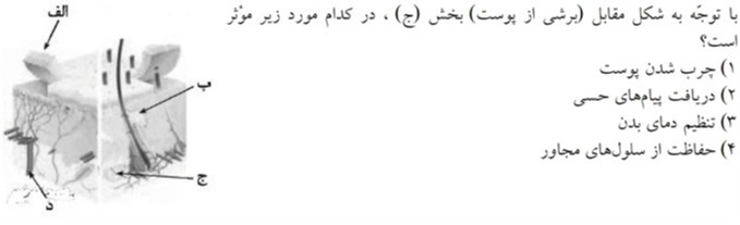 دریافت سوال 13