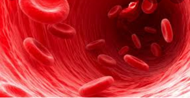 دریافت سوال 2