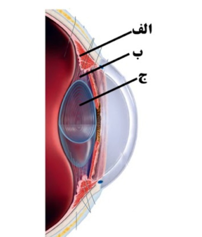 دریافت سوال 9