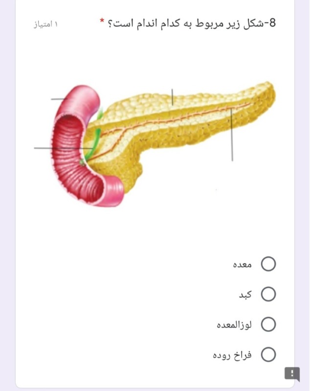 دریافت سوال 20