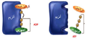 دریافت سوال 9