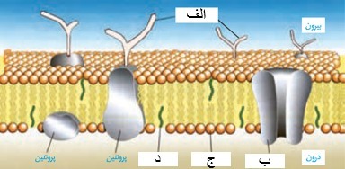 دریافت سوال 15