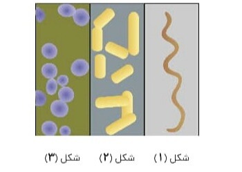 دریافت سوال 13