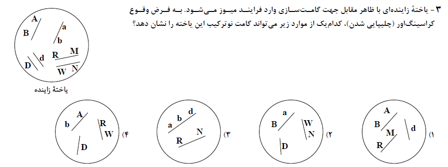 دریافت سوال 3