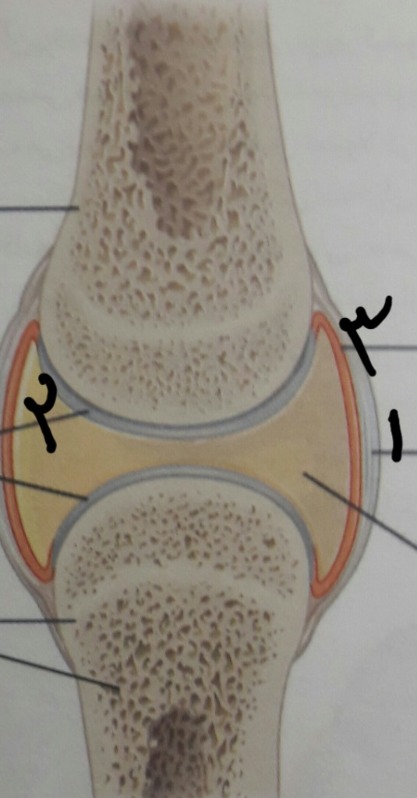 دریافت سوال 5