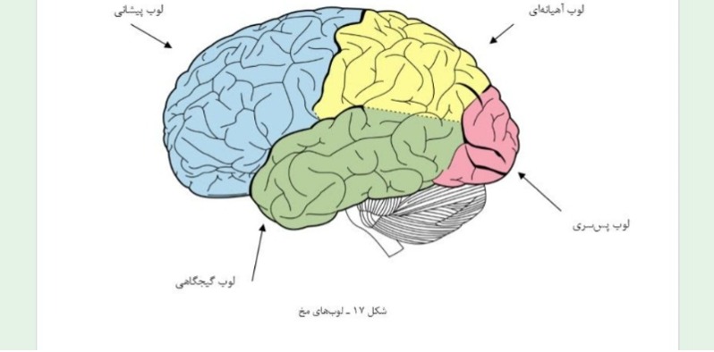 دریافت سوال 10