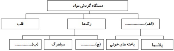 دریافت سوال 36