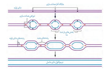 دریافت سوال 25