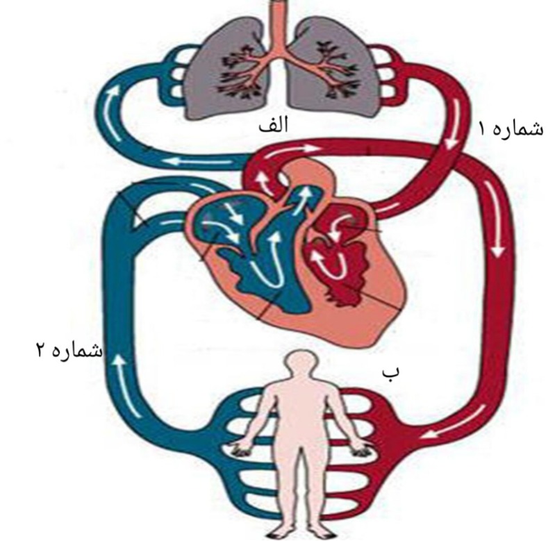 دریافت سوال 27