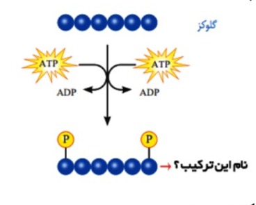 دریافت سوال 15