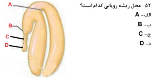 دریافت سوال 19