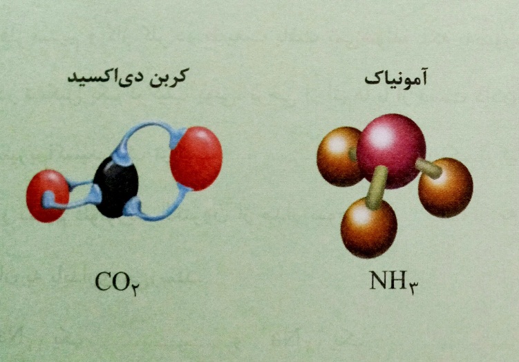 دریافت سوال 13