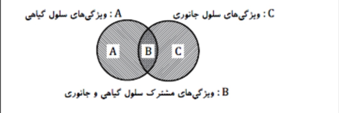 دریافت سوال 17