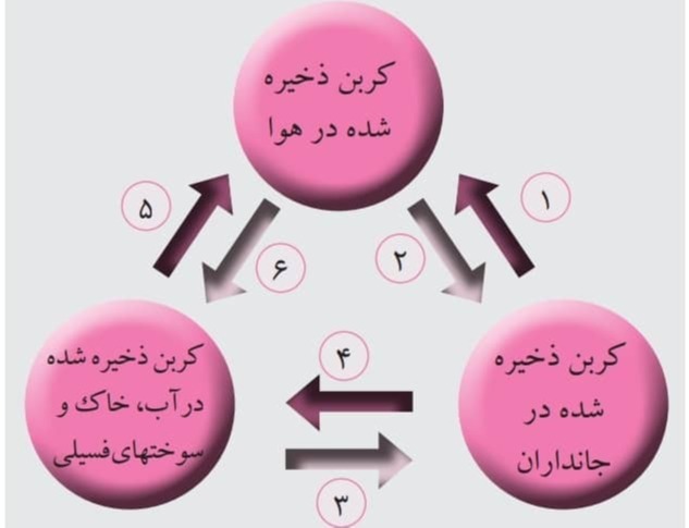 دریافت سوال 6