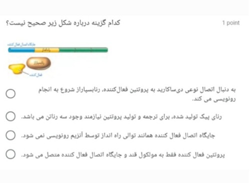 دریافت سوال 11