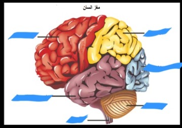 دریافت سوال 1