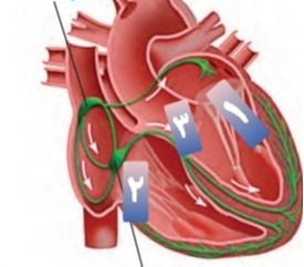 دریافت سوال 9