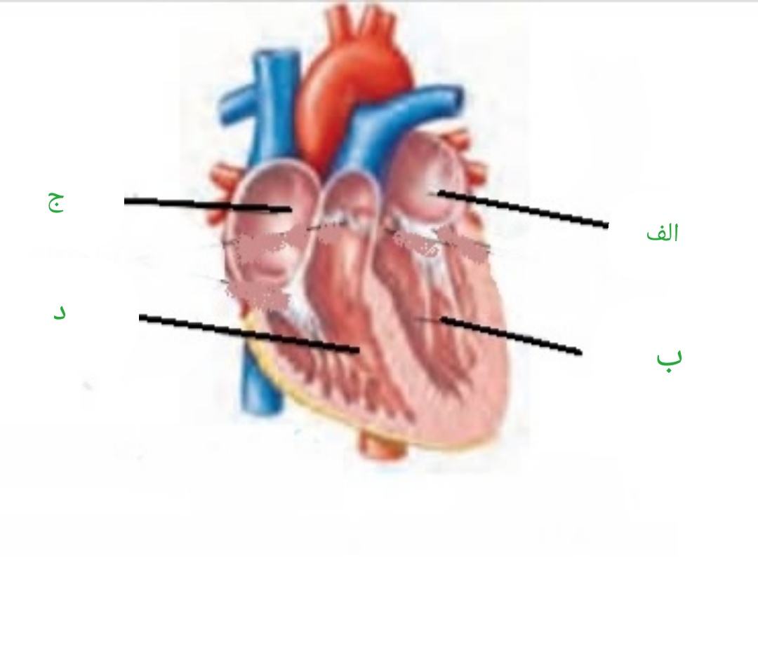 دریافت سوال 20