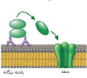 دریافت سوال 9