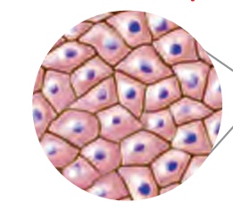 دریافت سوال 18