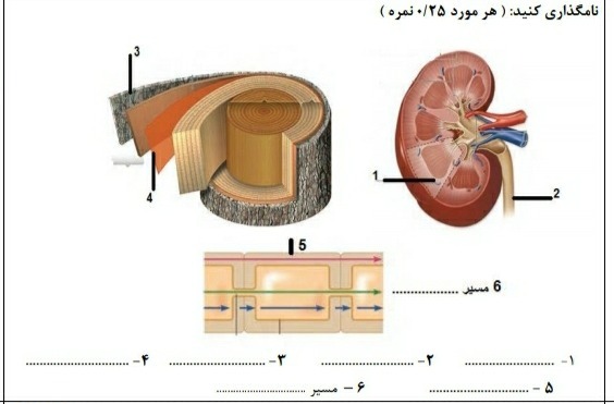 دریافت سوال 7