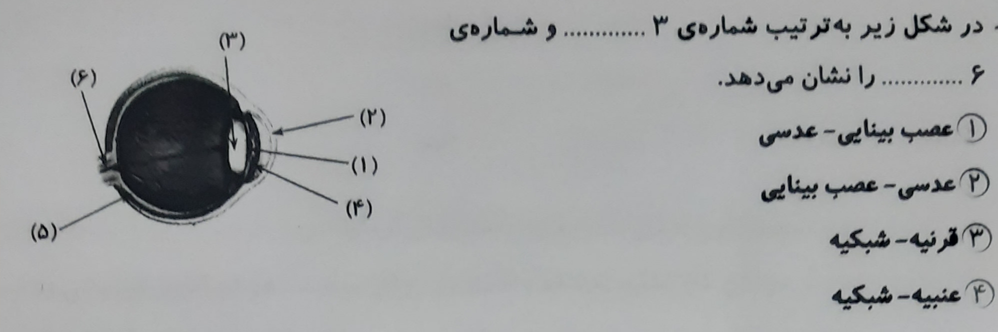 دریافت سوال 29