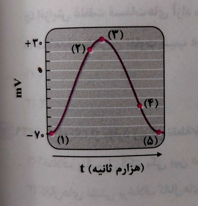 دریافت سوال 25