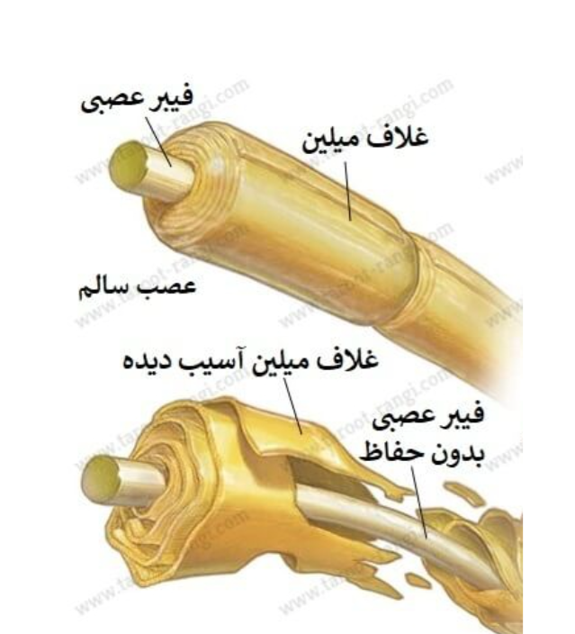 دریافت سوال 5