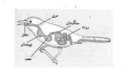 دریافت سوال 9