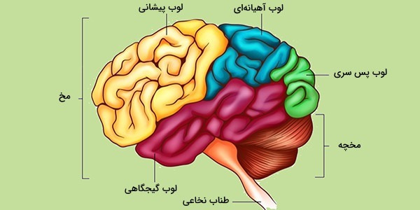 دریافت سوال 27