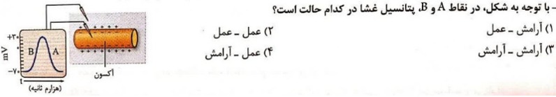 دریافت سوال 6