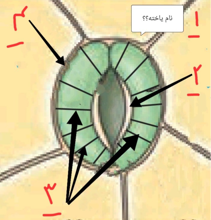 دریافت سوال 20