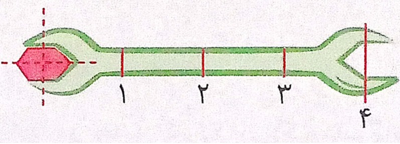 دریافت سوال 6