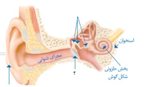 دریافت سوال 5