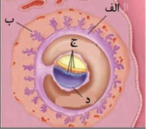 دریافت سوال 16