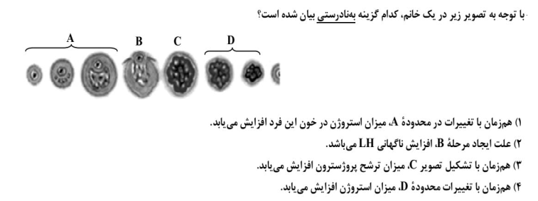 دریافت سوال 31