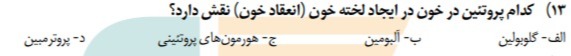 دریافت سوال 13