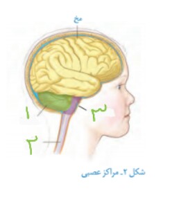 دریافت سوال 4