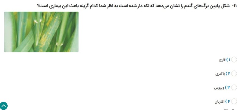 دریافت سوال 11